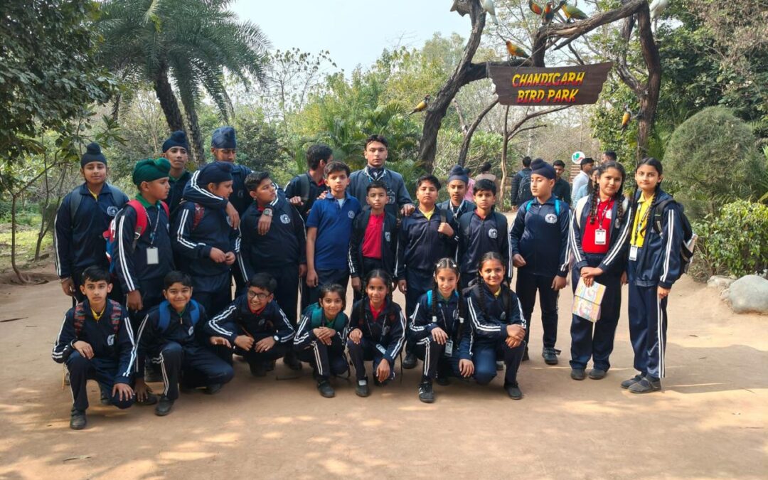Educational Trip to International Doll Museum & Bird Park, Chandigarh